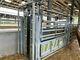 Cattle Race Inc Drafting Gate, Heavy Duty Cattlemaster Crush, Gates/hurdles