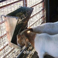 Little Giant Classic Heavy-Duty Metal 2-In-1 Goat And Sheep Feeder