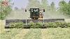 Mowing Merging Harvesting Alfalfa With Big Tractors