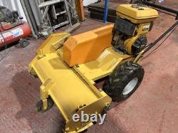 Sisis Large 2 Speed Walk Behind Flail Mower all working great condition