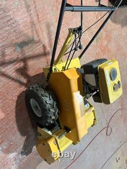 Sisis Large 2 Speed Walk Behind Flail Mower all working great condition