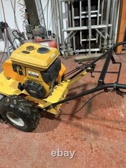 Sisis Large 2 Speed Walk Behind Flail Mower all working great condition