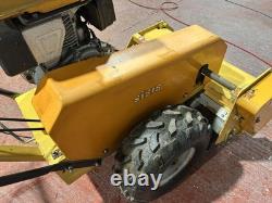 Sisis Large 2 Speed Walk Behind Flail Mower all working great condition