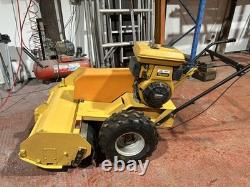 Sisis Large 2 Speed Walk Behind Flail Mower all working great condition