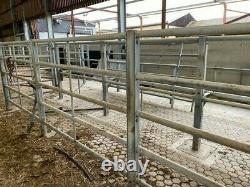 Cattle Race Inc Drafting Gate, Heavy Duty Cattlemaster Crush, Portes/haies