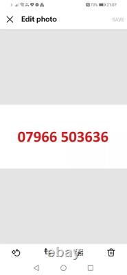 Fourche à fumier robuste