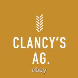 Pompe à eau internationale Heavy Duty pour tracteurs 766, 866, 976, 786, 886 avec D358