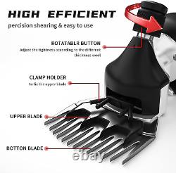 Tondeuses électriques professionnelles pour moutons 500W 6 vitesses Kit de tondeuses robustes